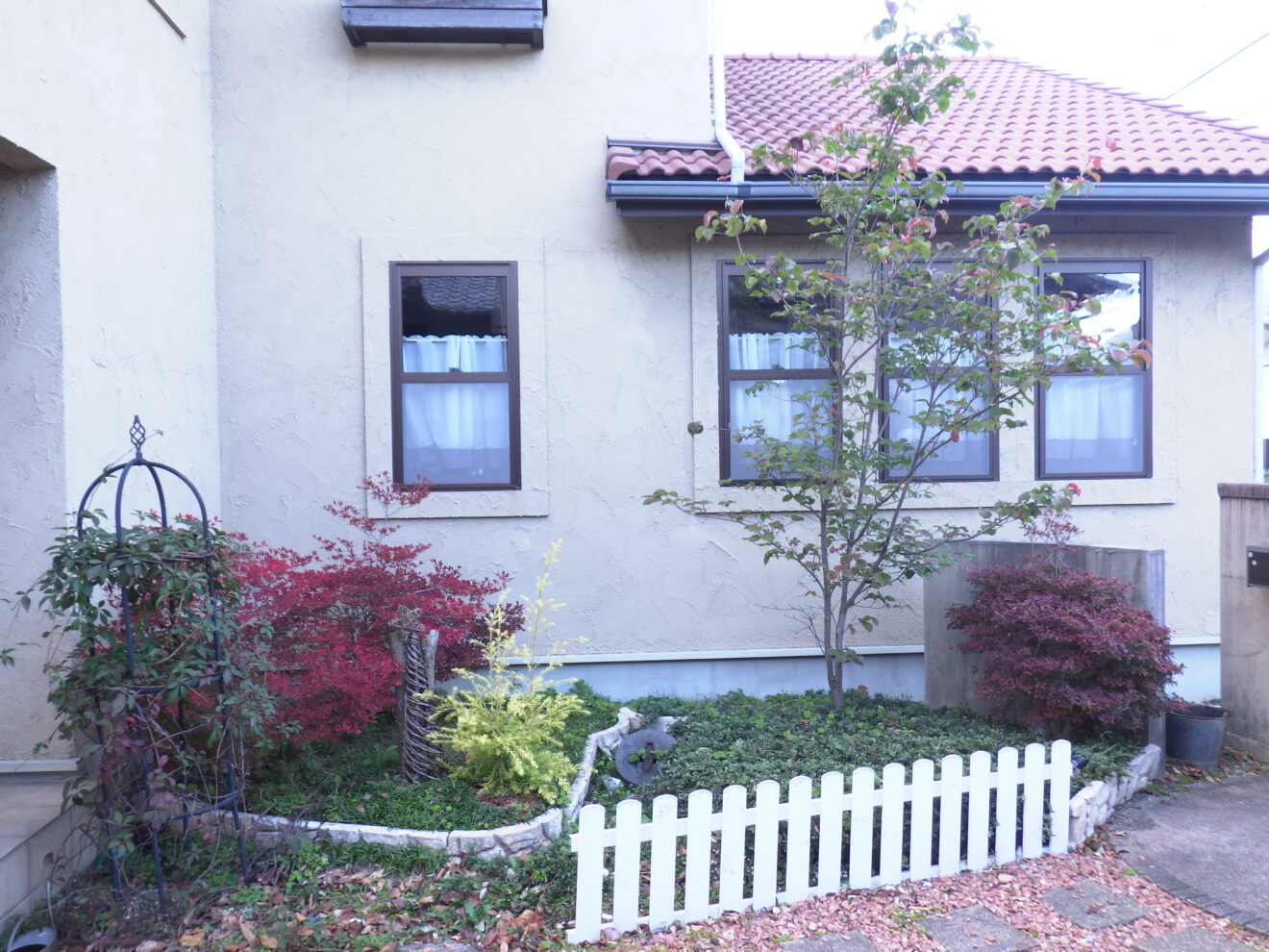 写真：庭と植栽