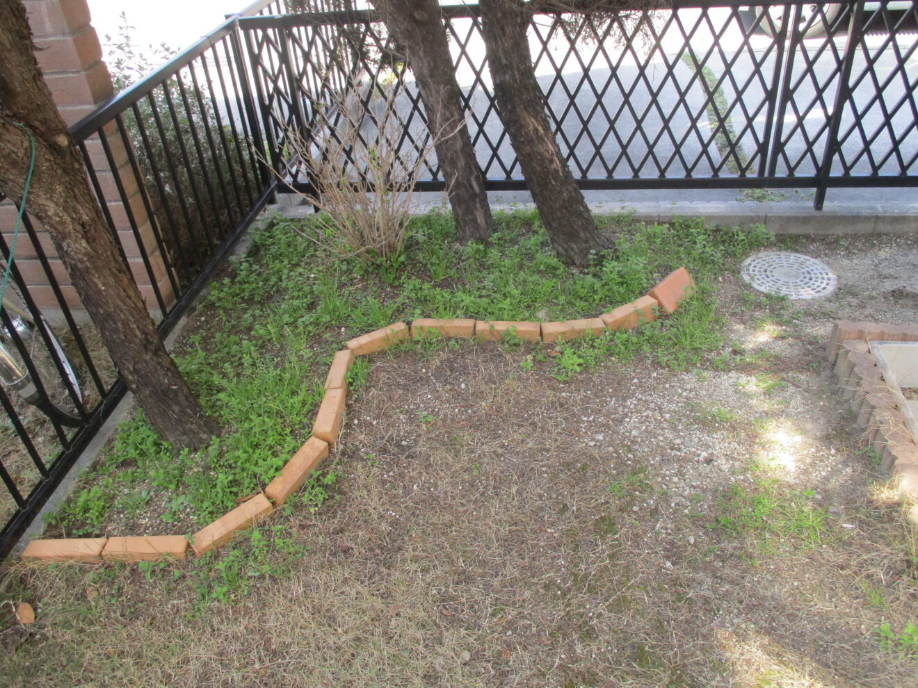 写真：リフォーム前の植栽02 - 福田造園の施行事例（愛知県岡崎市）