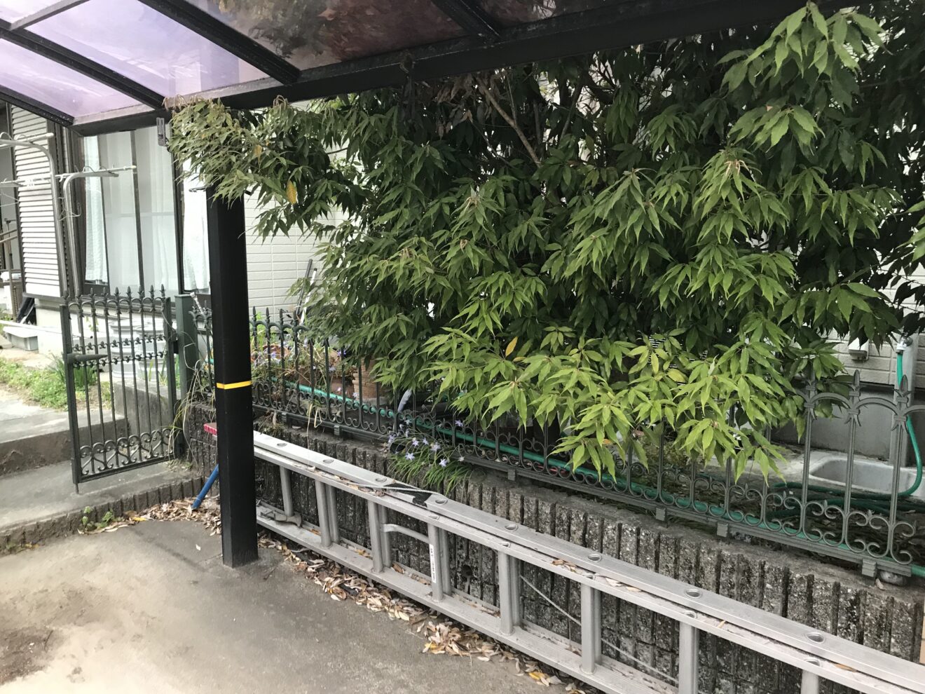 写真：リフォーム前の門扉周り - 福田造園の施行事例（愛知県豊田市）