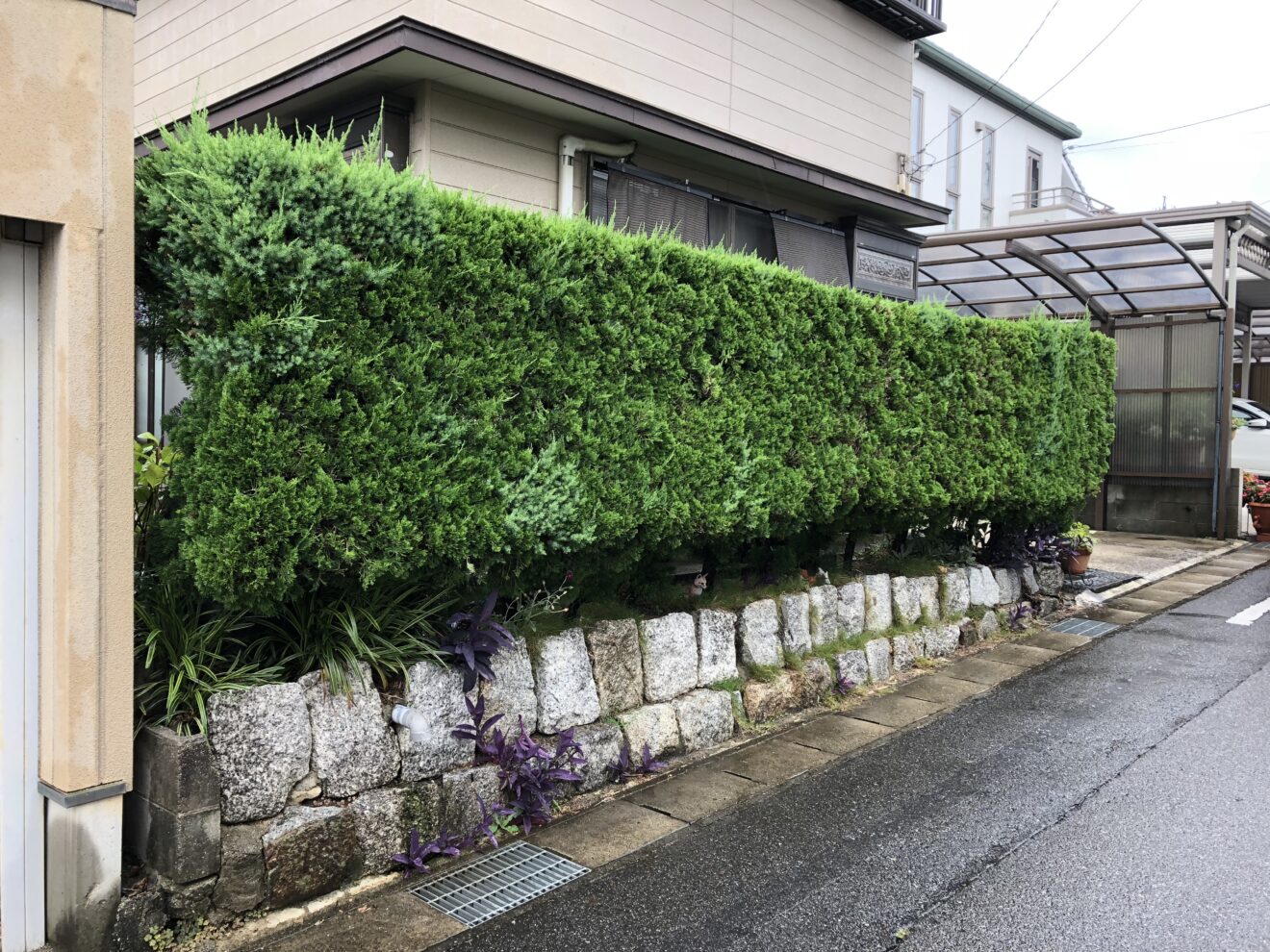 写真：駐車場拡張前の生垣01 - 福田造園の施行事例（愛知県豊田市）