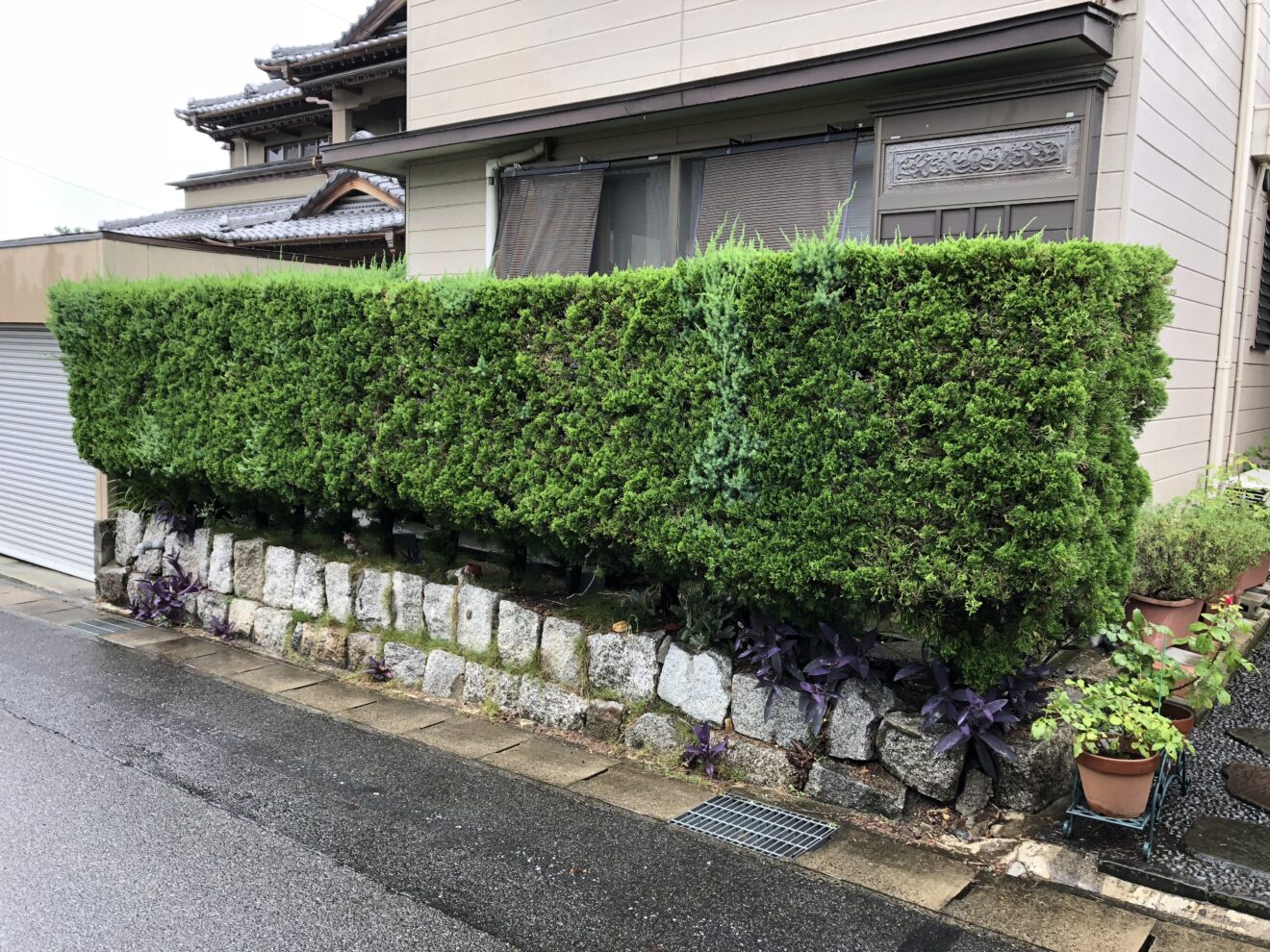 写真：駐車場拡張前の生垣02 - 福田造園の施行事例（愛知県豊田市）