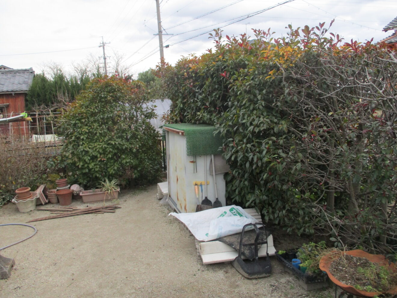 写真：フェンス施工前の生垣01 - 福田造園の施行事例（愛知県岡崎市）