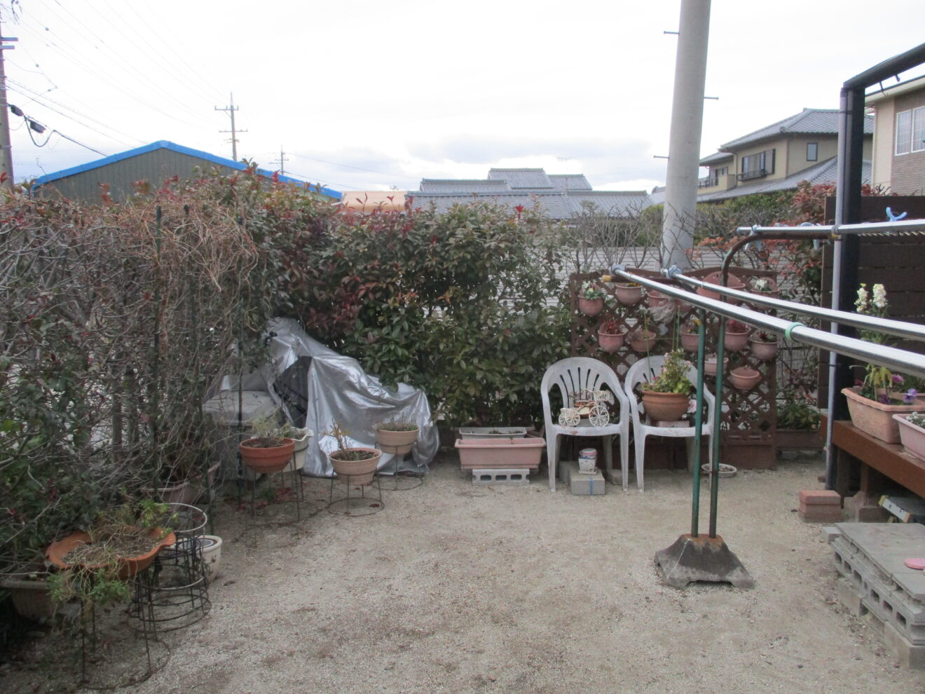 写真：フェンス施工前の生垣02 - 福田造園の施行事例（愛知県岡崎市）