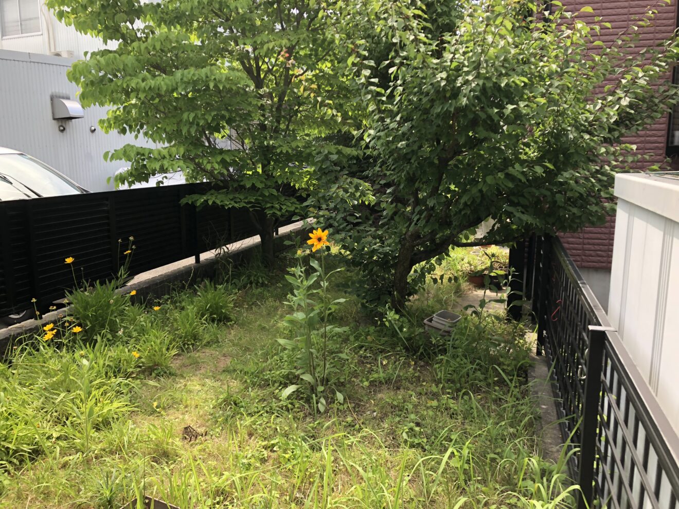 写真：リフォーム前の庭01