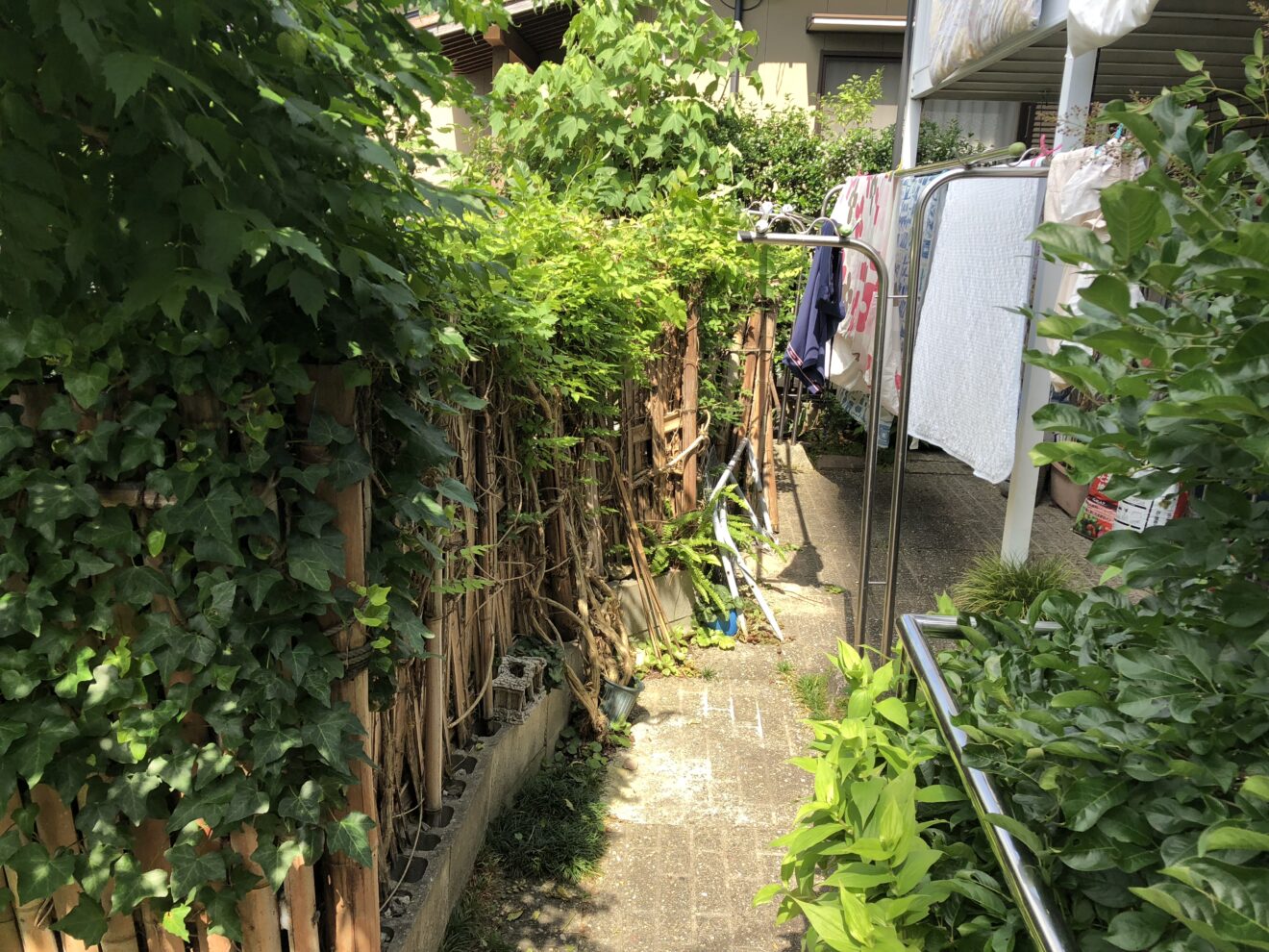 写真：フェンス施工前の庭02 - 福田造園の施行事例（愛知県岡崎市）