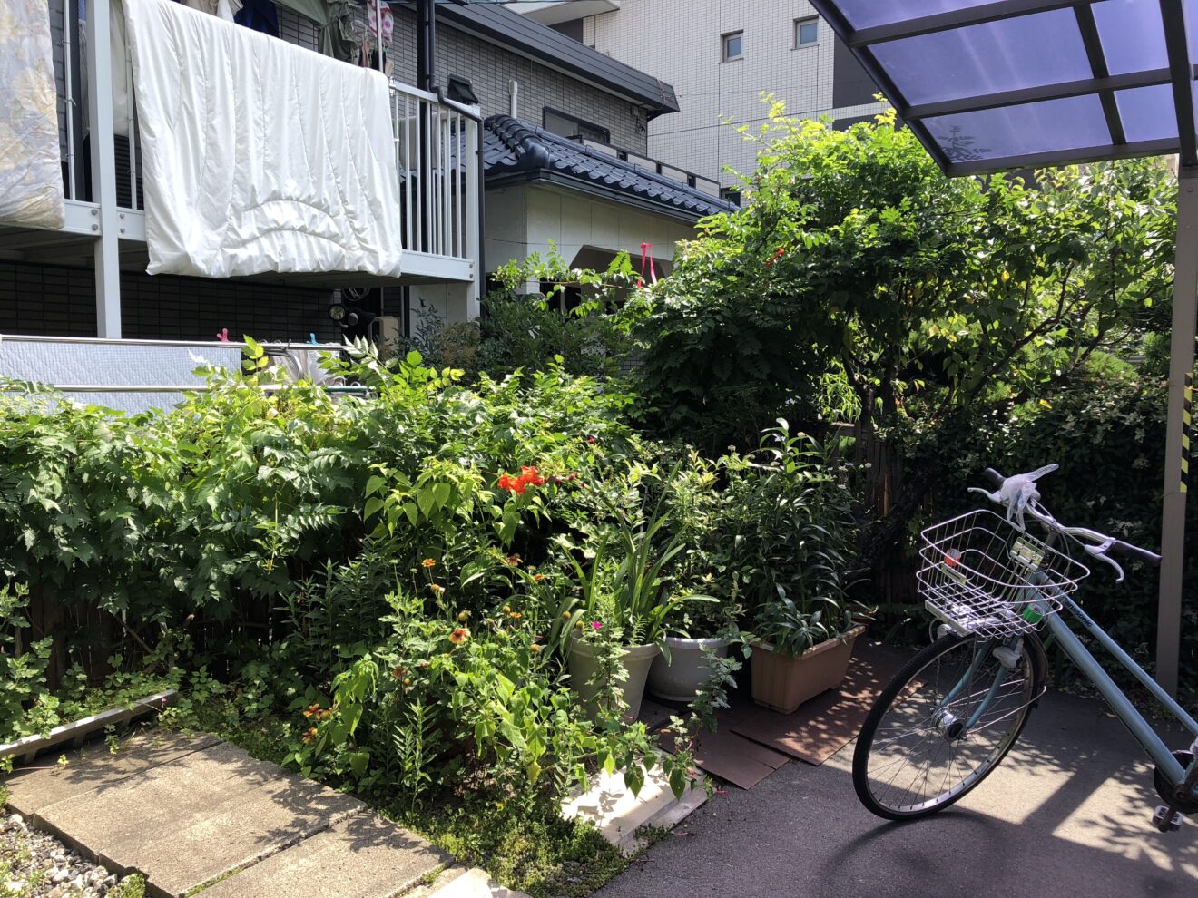 写真：フェンス施工前の庭01 - 福田造園の施行事例（愛知県岡崎市）