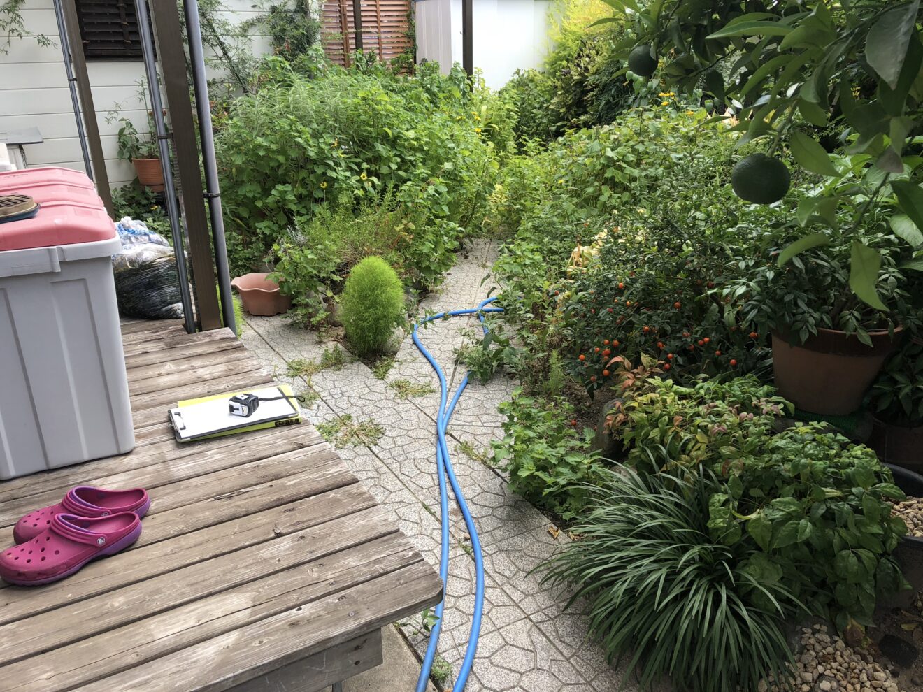 写真：リフォーム前の庭01 - 福田造園の施行事例（愛知県豊田市）