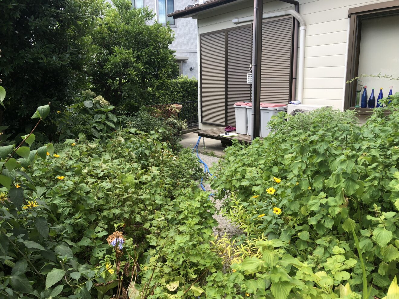 写真：リフォーム前の庭02 - 福田造園の施行事例（愛知県豊田市）