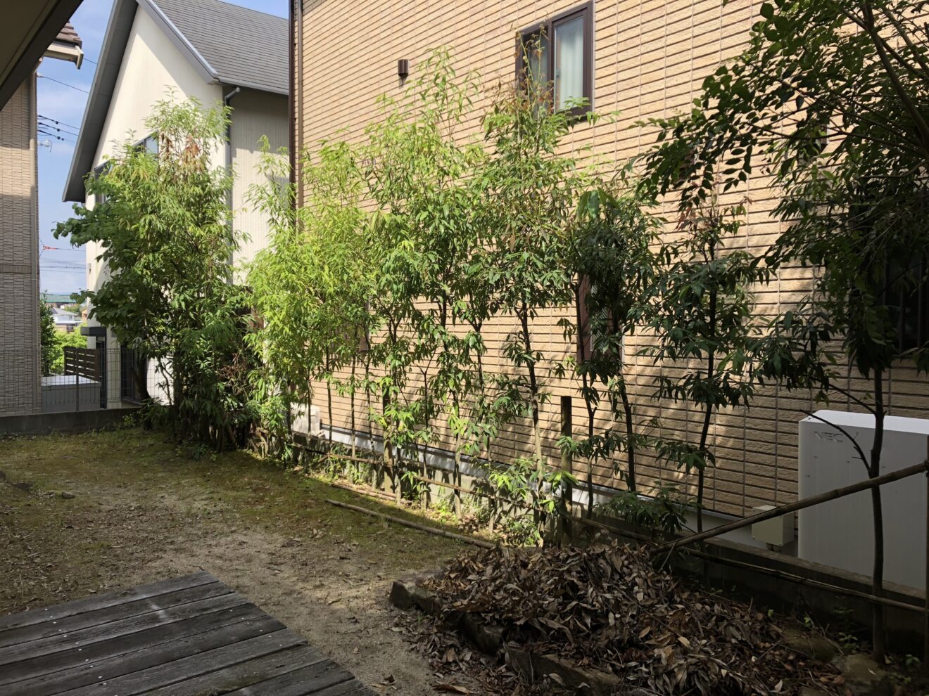 写真：リフォーム前の植栽