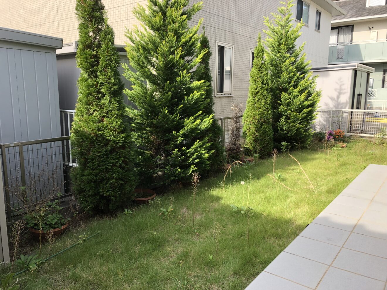 写真：人工芝施工前の庭01