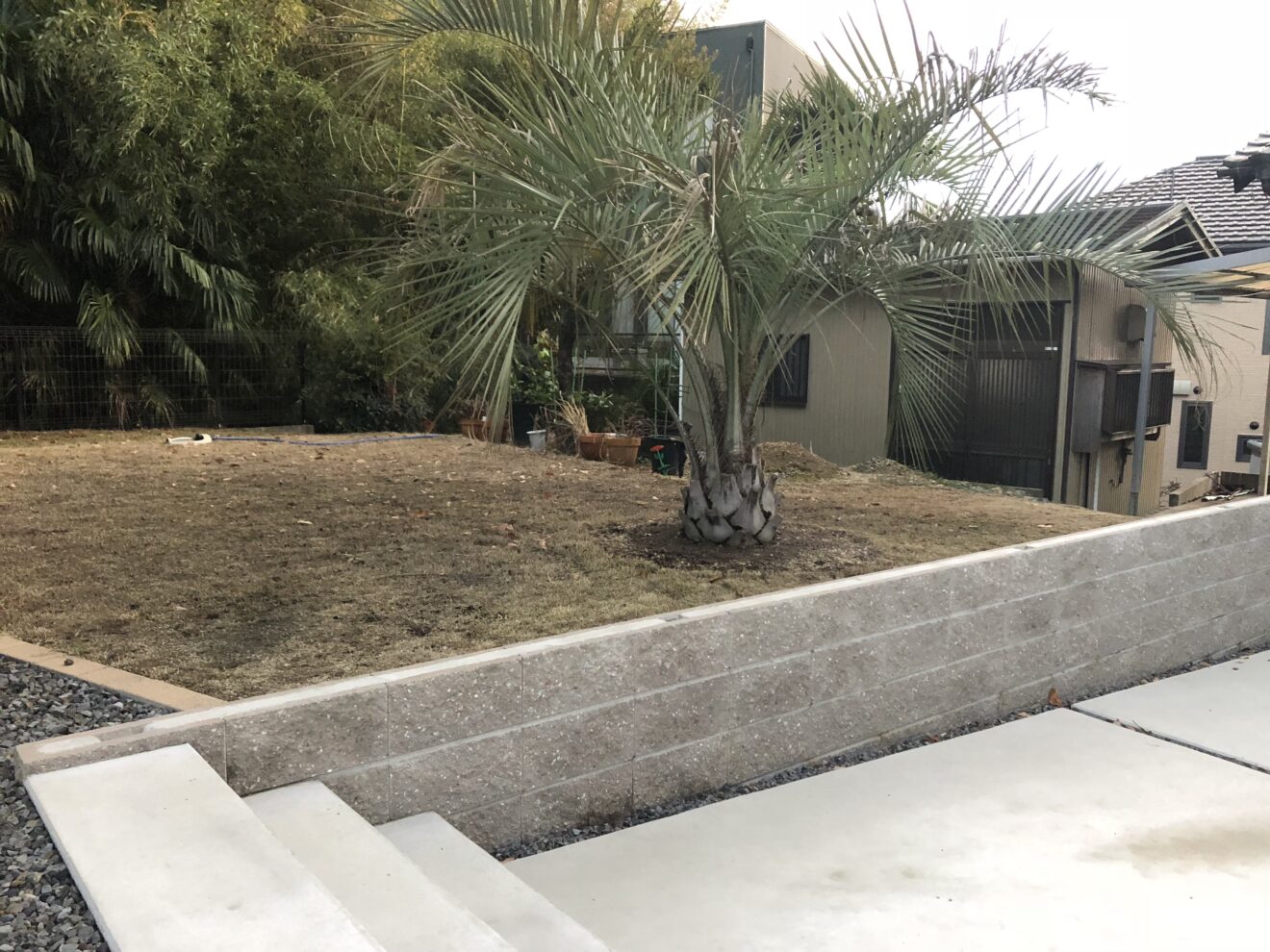 写真：リフォーム前の庭