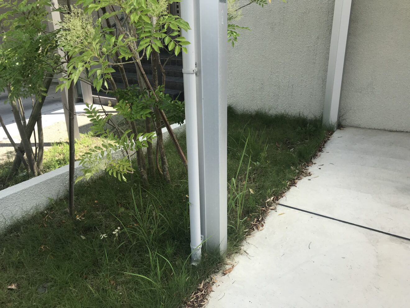 写真：リフォーム前の植栽02