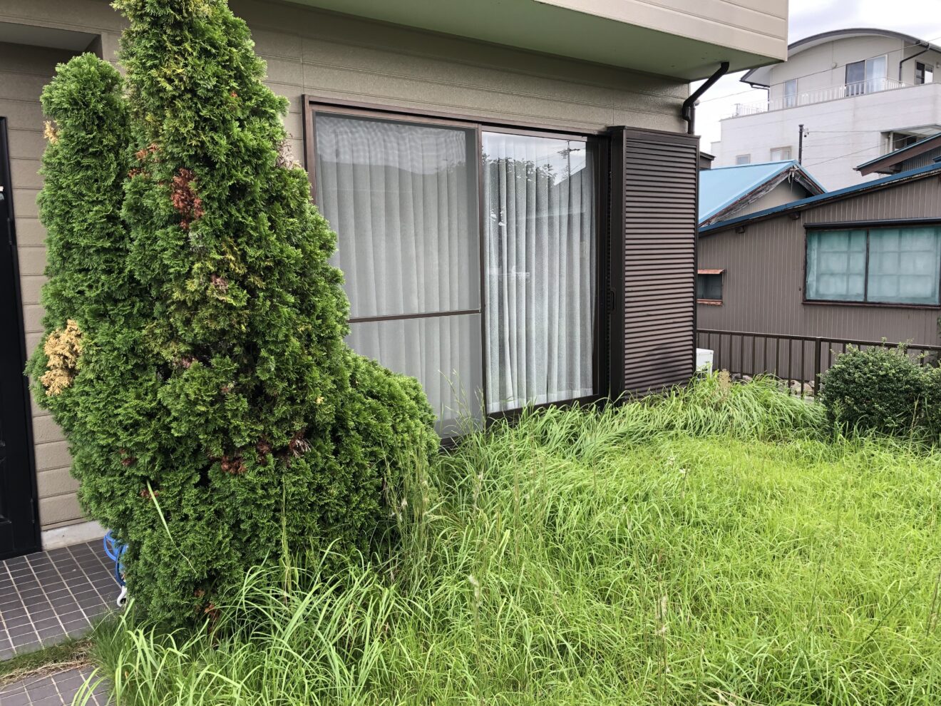 写真：リフォーム前の庭02 - 福田造園の施行事例（愛知県岡崎市）