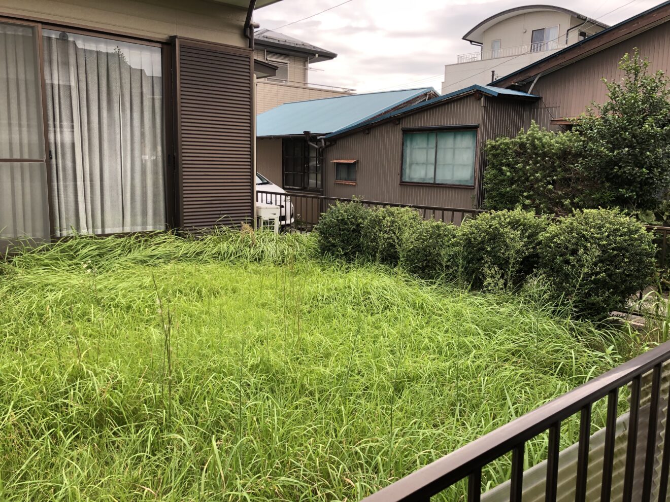 写真：リフォーム前の庭01 - 福田造園の施行事例（愛知県岡崎市）