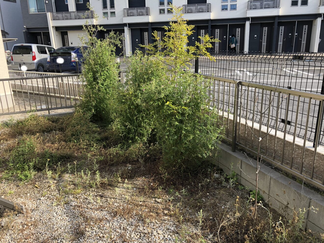 写真：リフォーム前の庭02 - 福田造園の施行事例（愛知県豊田市）