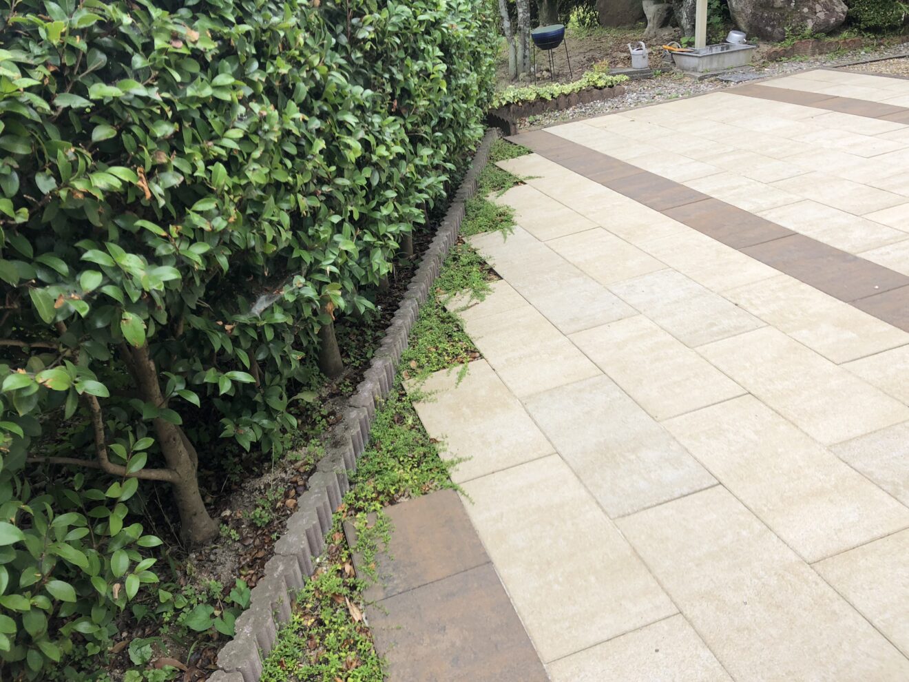 写真：リフォーム後の庭01