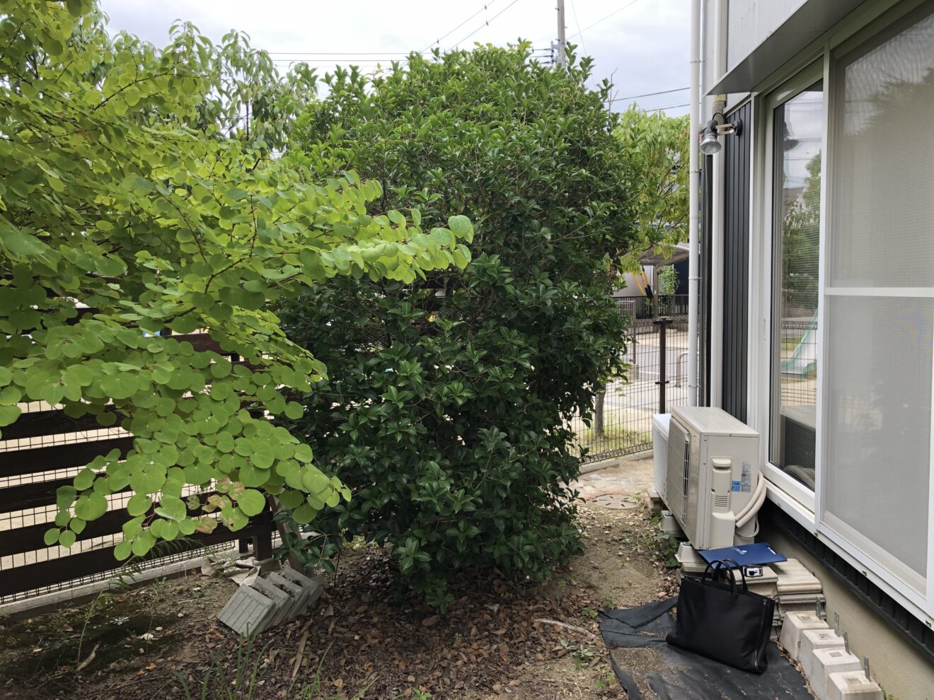 写真：剪定前の樹木02 - 福田造園の施行事例（愛知県岡崎市）