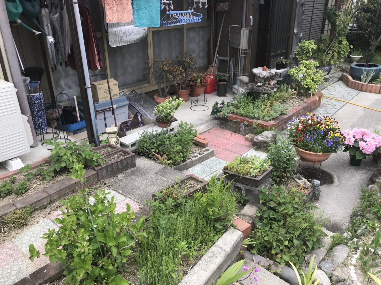 写真：リフォーム前の庭01 - 福田造園の施行事例（愛知県豊田市）