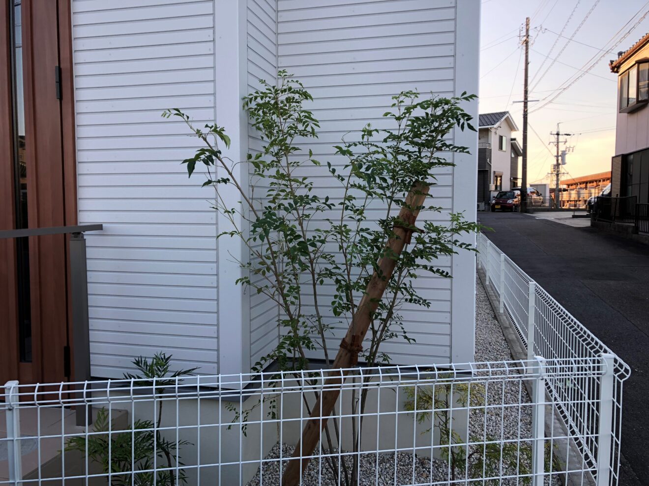 写真：植栽施行後