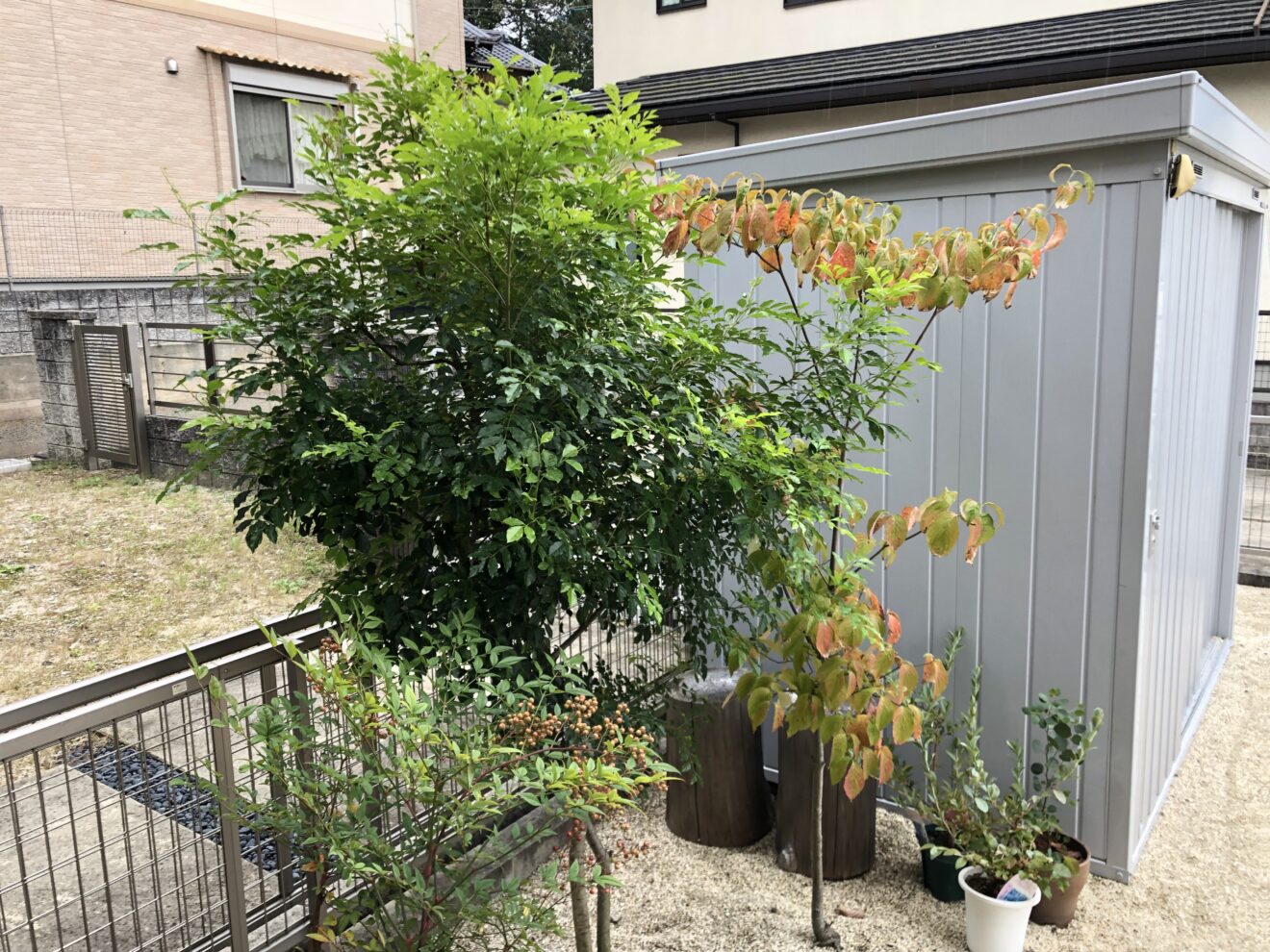 写真：サイクルポート施行前01