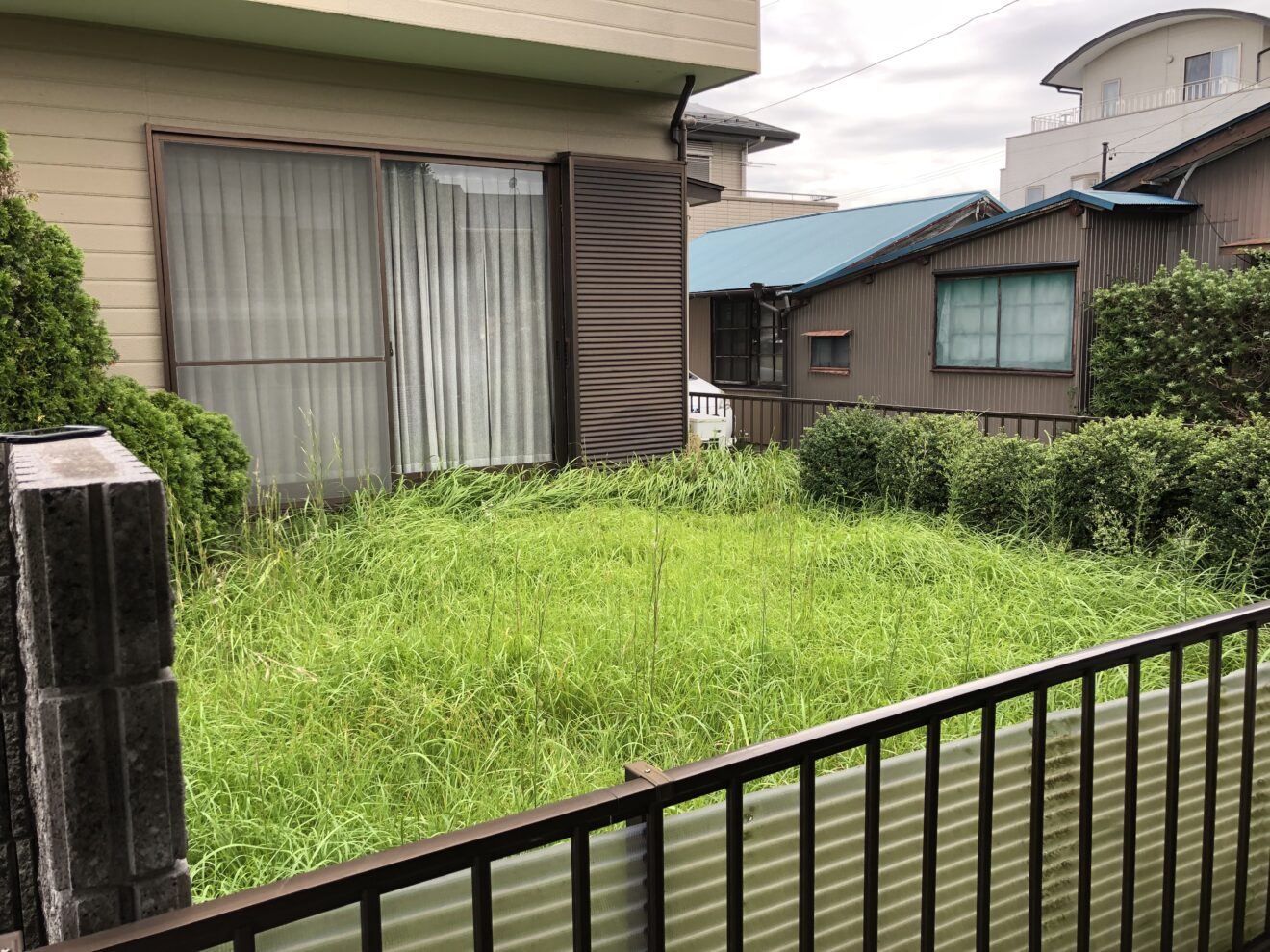 写真：リフォーム前の庭01