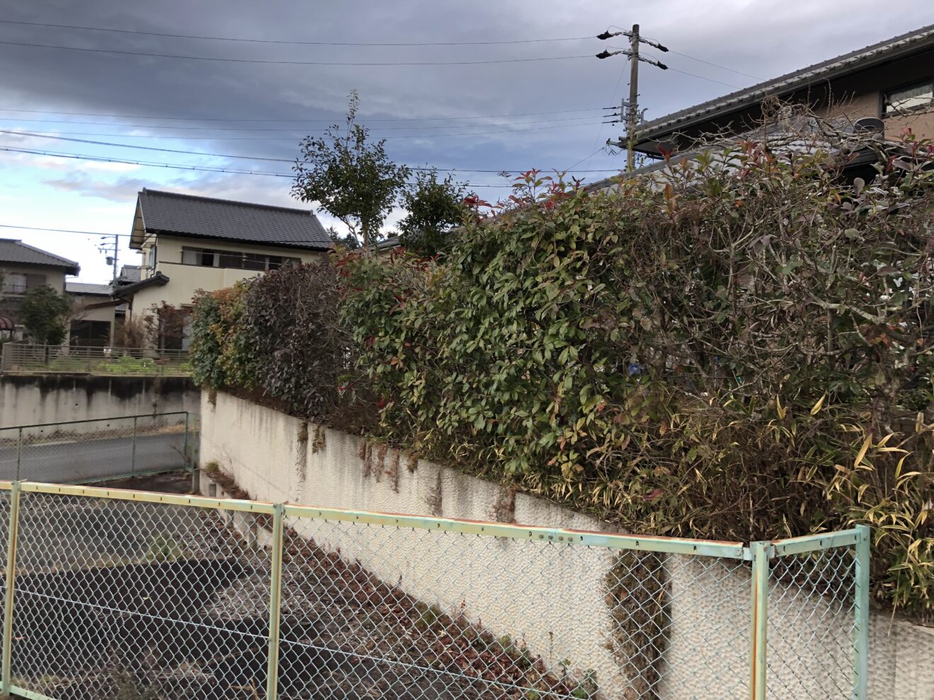 写真：フェンス設置前