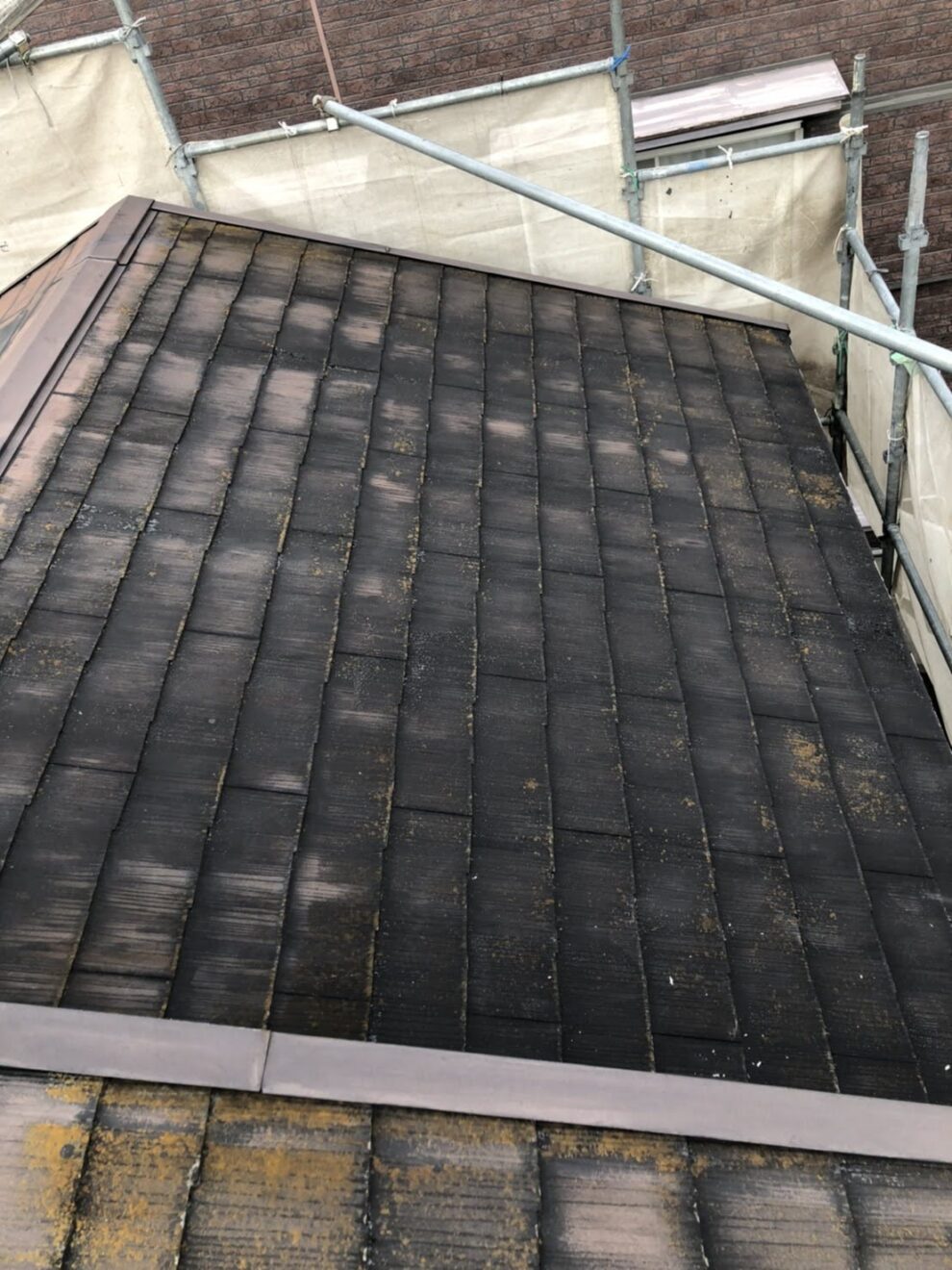 写真：工事前の屋根 - 福田造園の施工事例（愛知県豊田市）