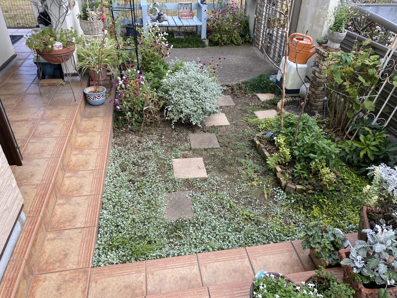 写真：リフォーム前の庭01 - 福田造園の施工事例（愛知県岡崎市）