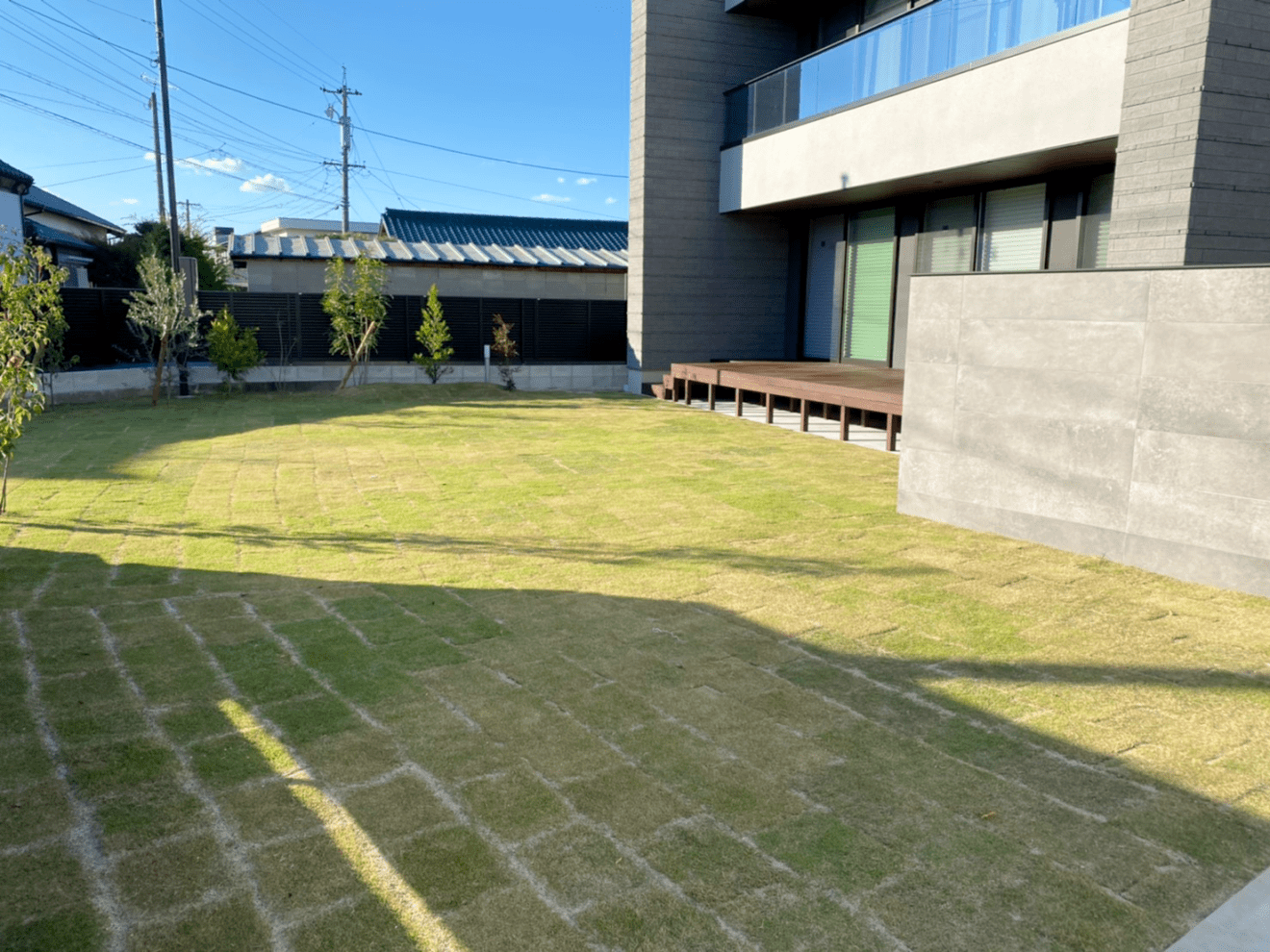 写真：コウライシバ施工後