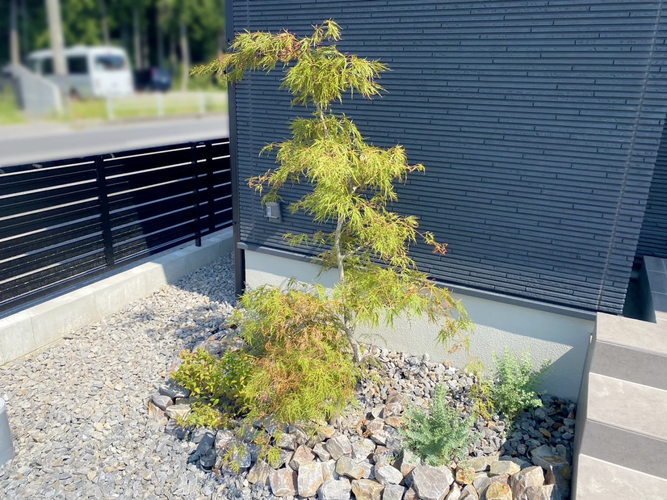 写真：植栽 - 福田造園の施工事例（愛知県西三河）