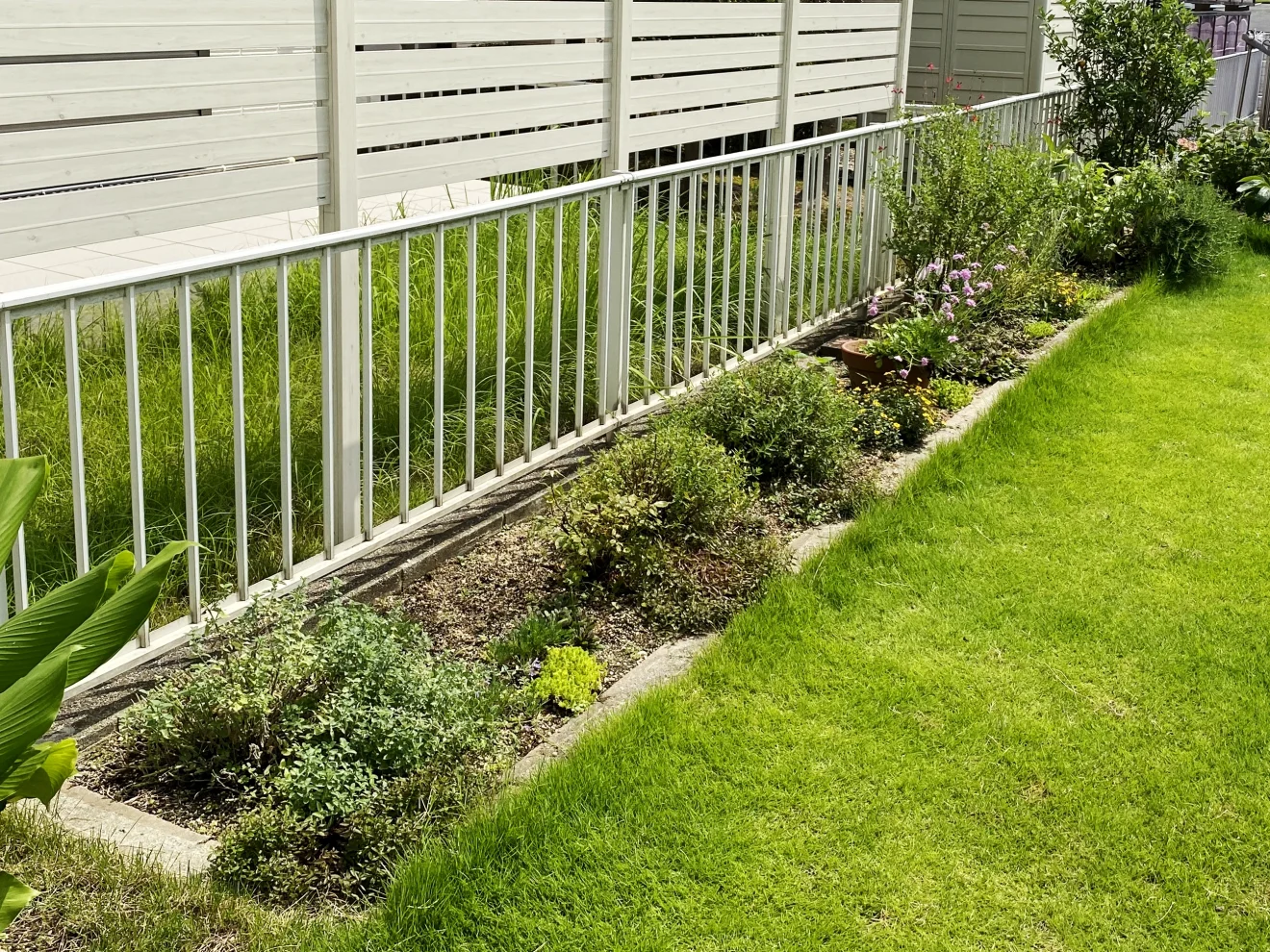 写真：リフォーム前の庭02