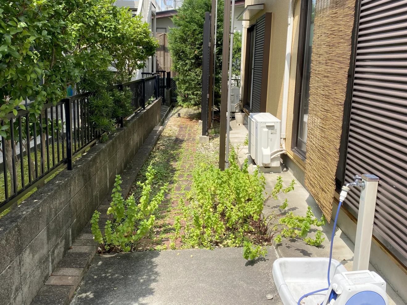 写真：リフォーム前の庭01