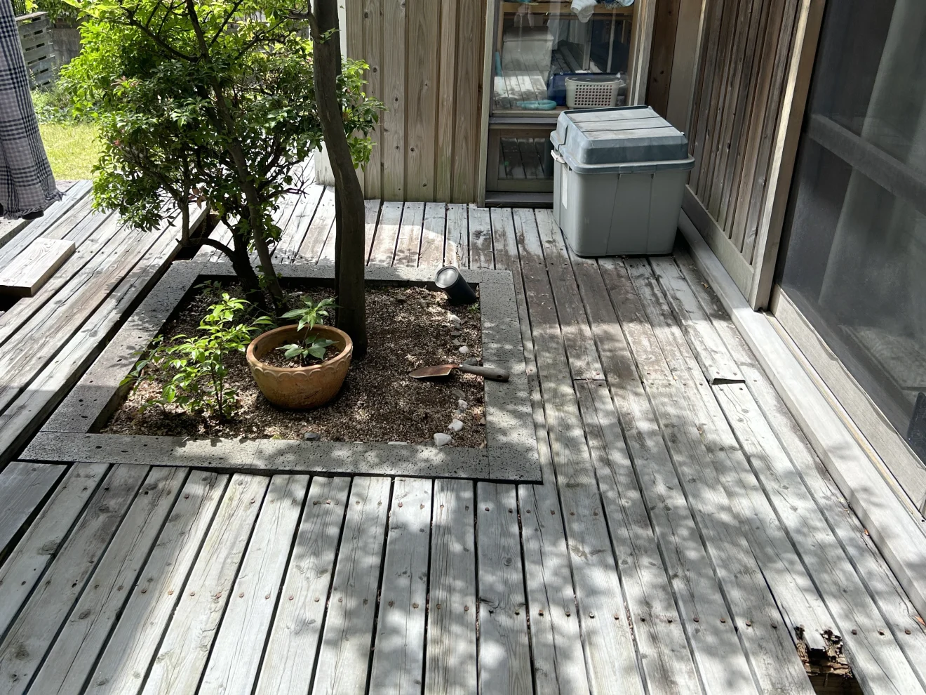 写真：リフォーム前の植栽