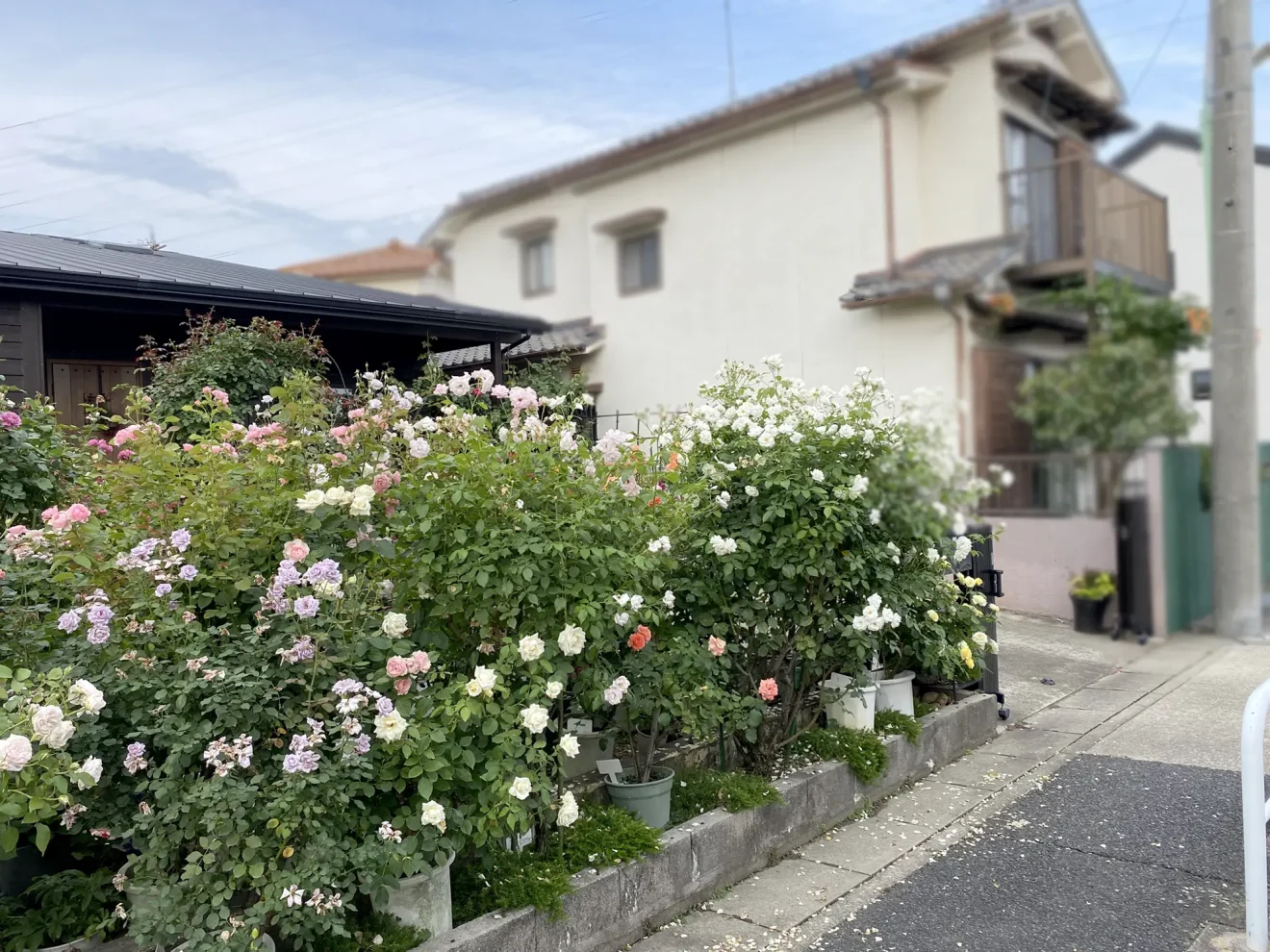 写真：リフォーム前の庭02 - 福田造園の施工事例（愛知県名古屋市）