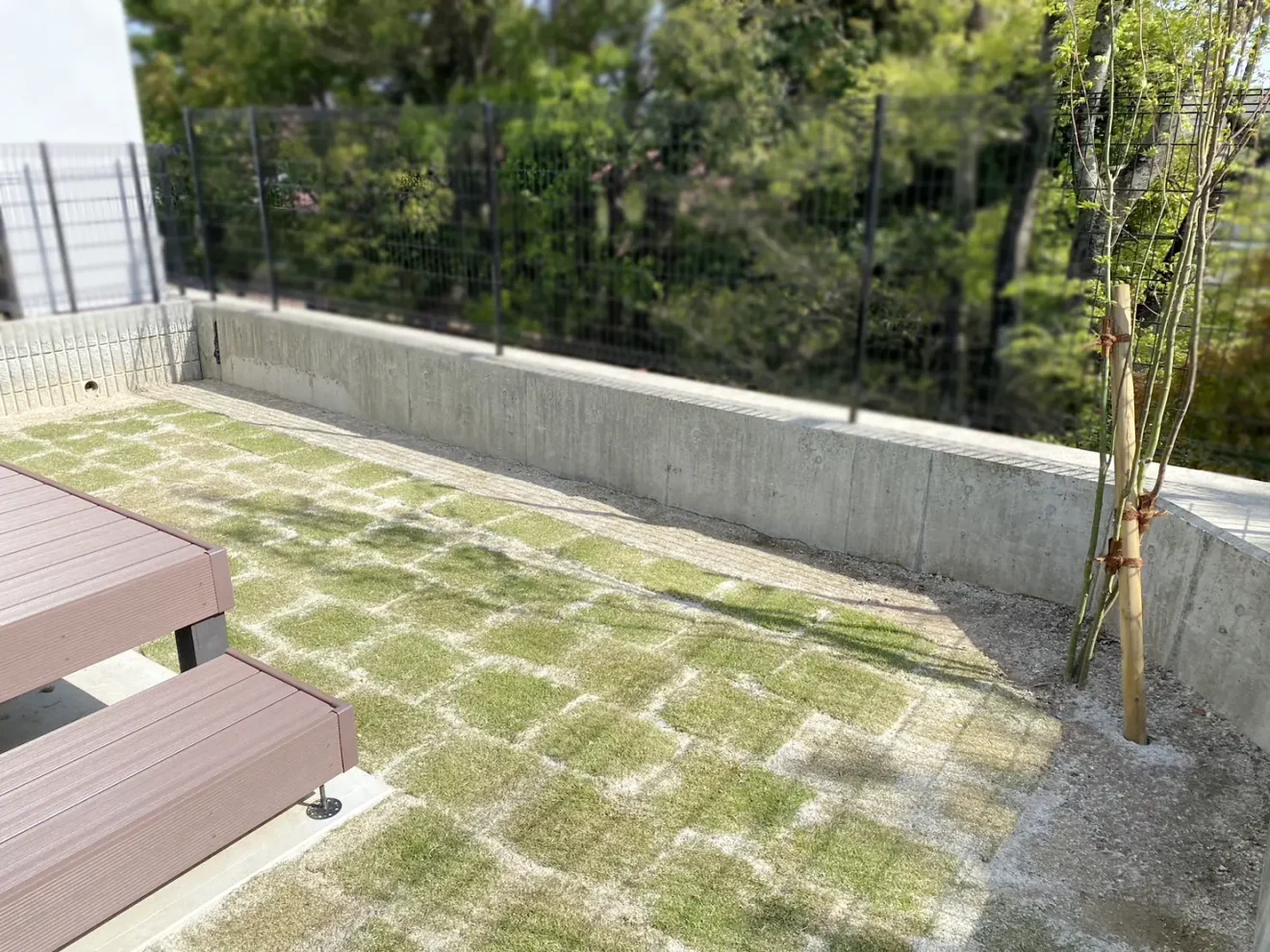 写真：天然芝が敷かれた庭と植栽 - 福田造園の施工事例（愛知県岡崎市）