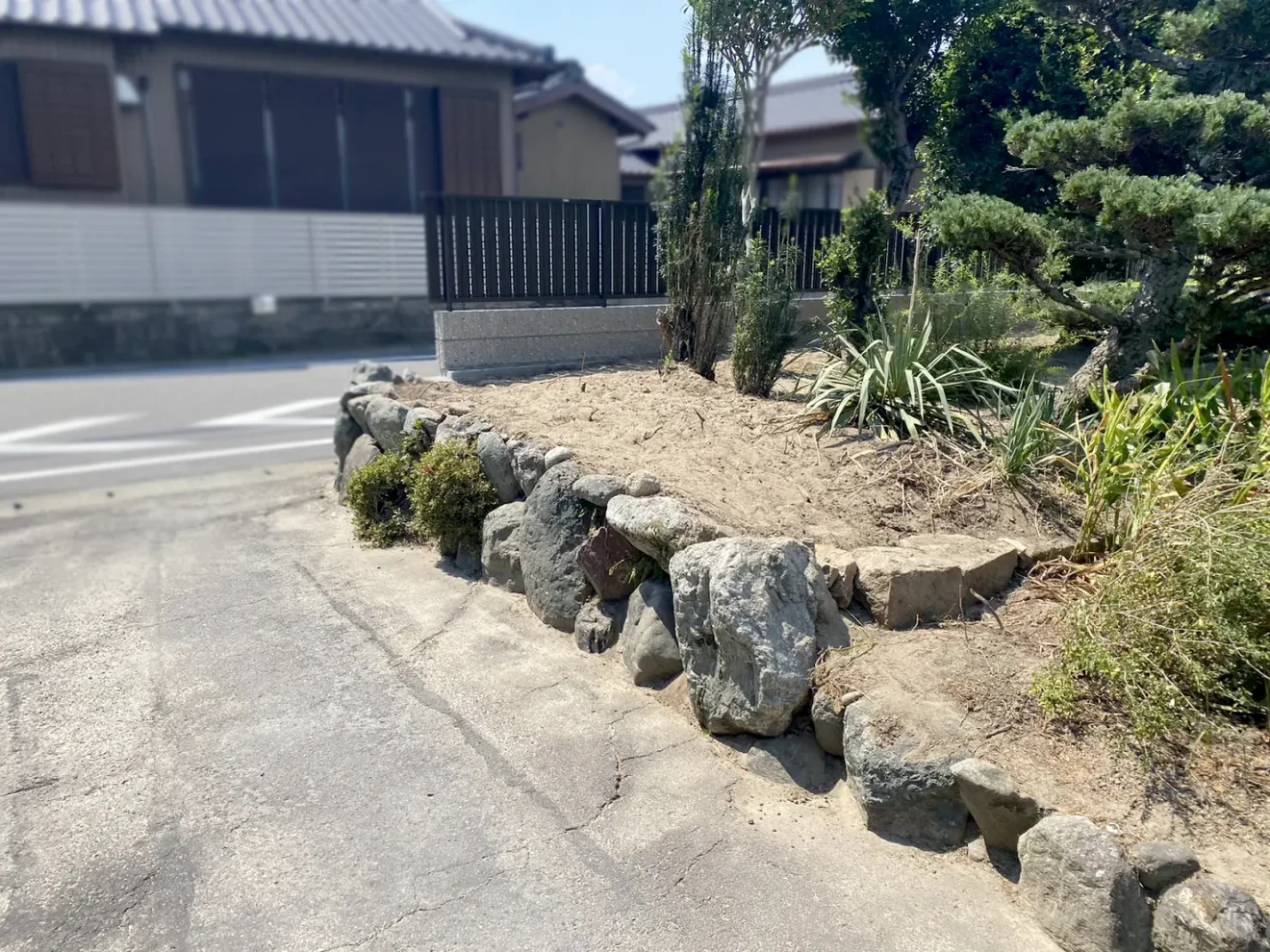 写真：生垣撤去後