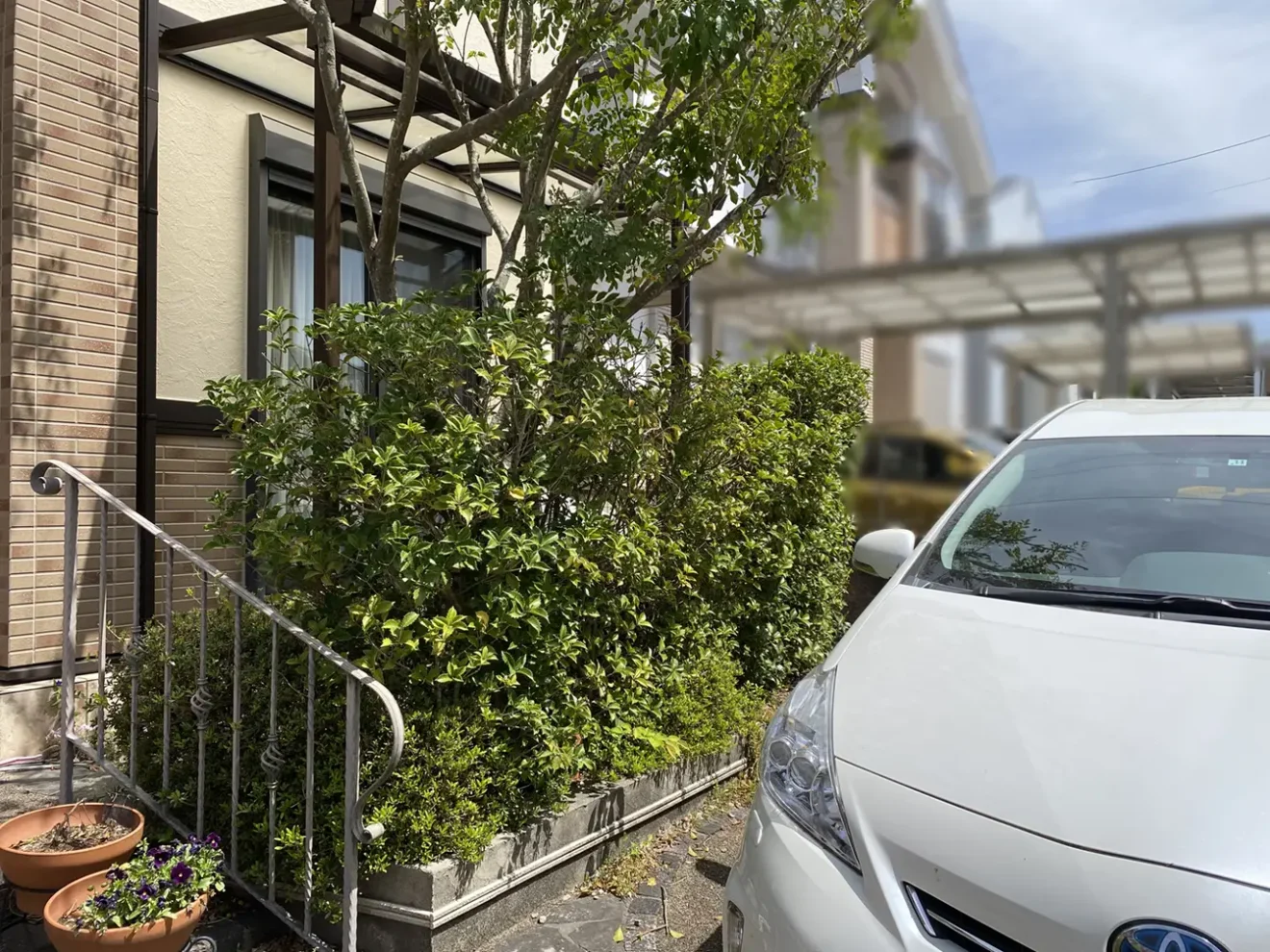 写真：リフォーム前の植栽