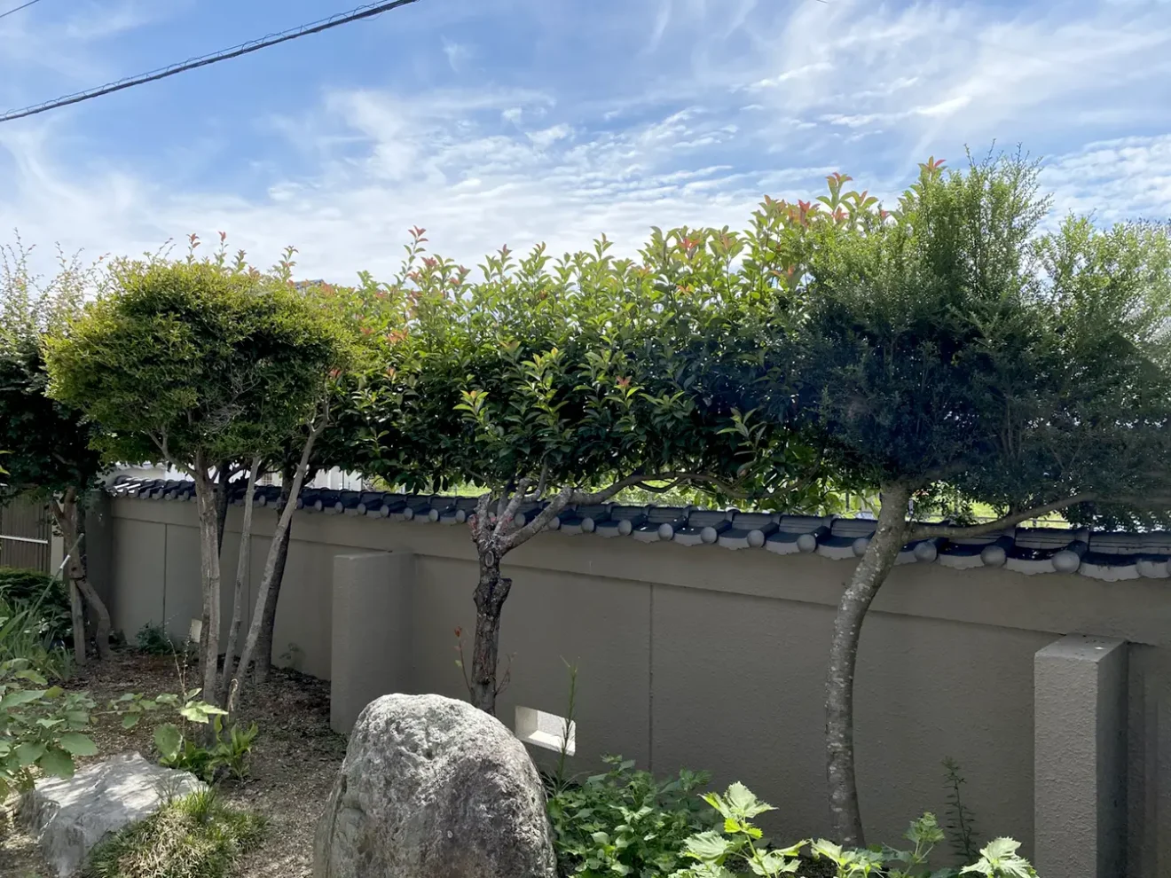 写真：リフォーム前の植栽