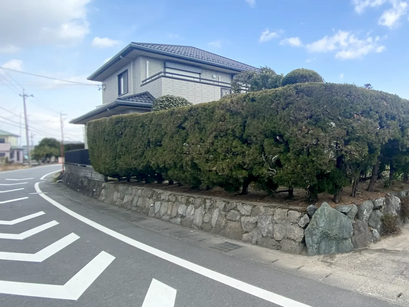 写真：リフォーム前の生垣01