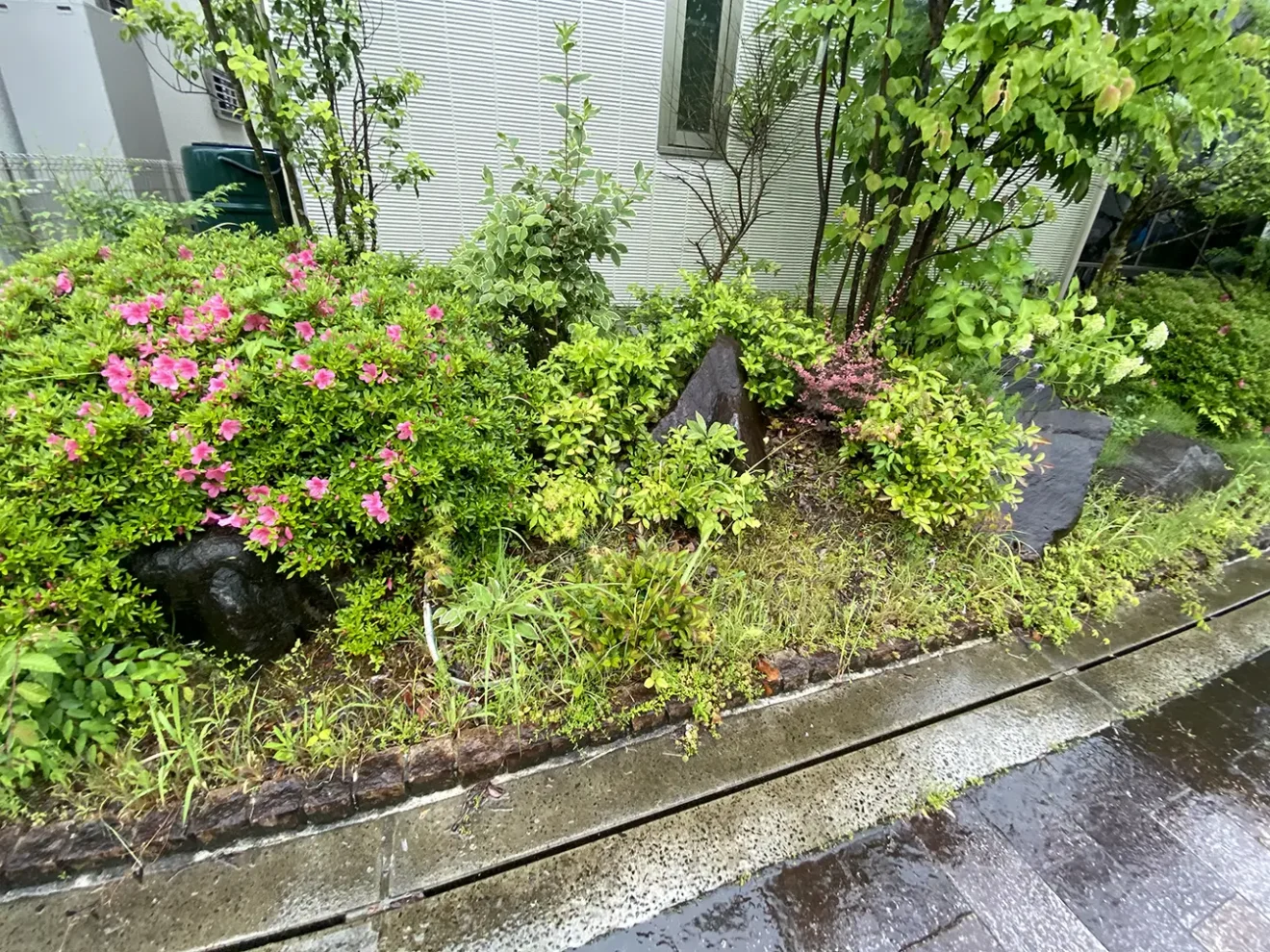 写真：リフォーム前の植栽 - 福田造園の施工事例（愛知県みよし市）