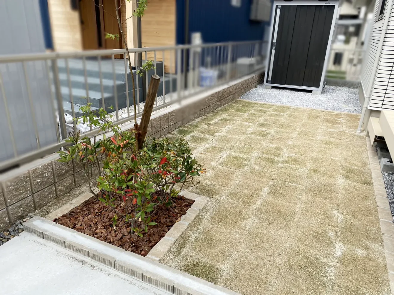 写真：天然芝が敷かれた庭と植栽、物置 - 福田造園の施工事例（愛知県岡崎市）