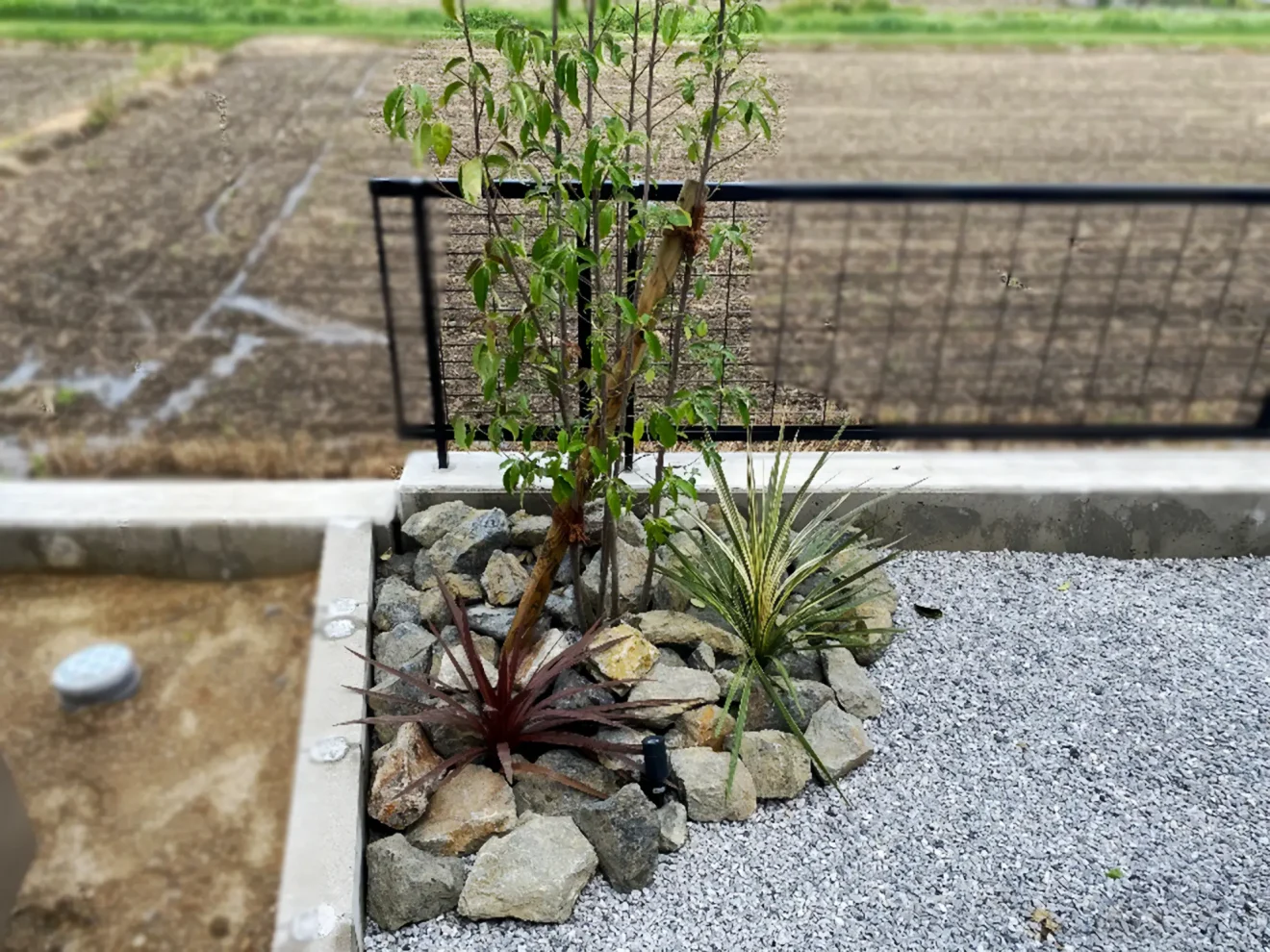 写真：植栽 - 福田造園の施工事例（愛知県安城市）