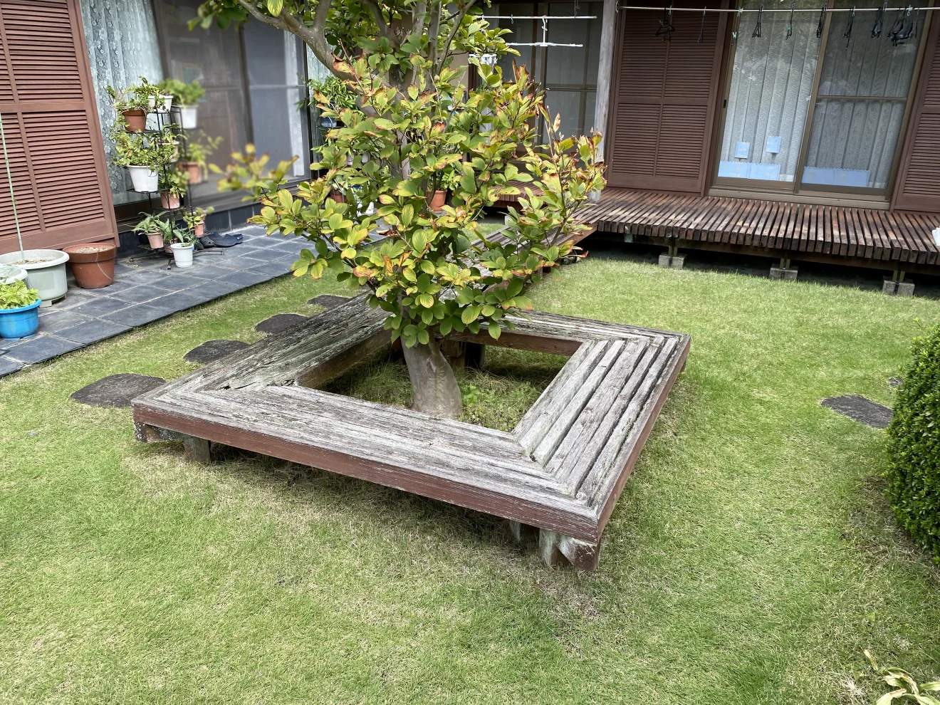 写真：リフォーム前の植栽 - 福田造園の施工事例（愛知県岡崎市）