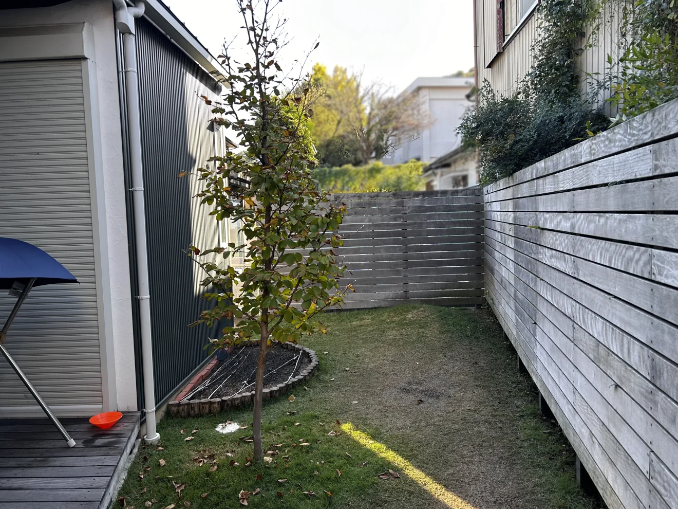 写真：リフォーム前の庭 - 福田造園の施工事例（愛知県岡崎市）