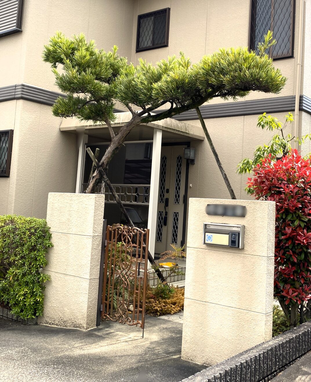 写真：リフォーム前の門周り