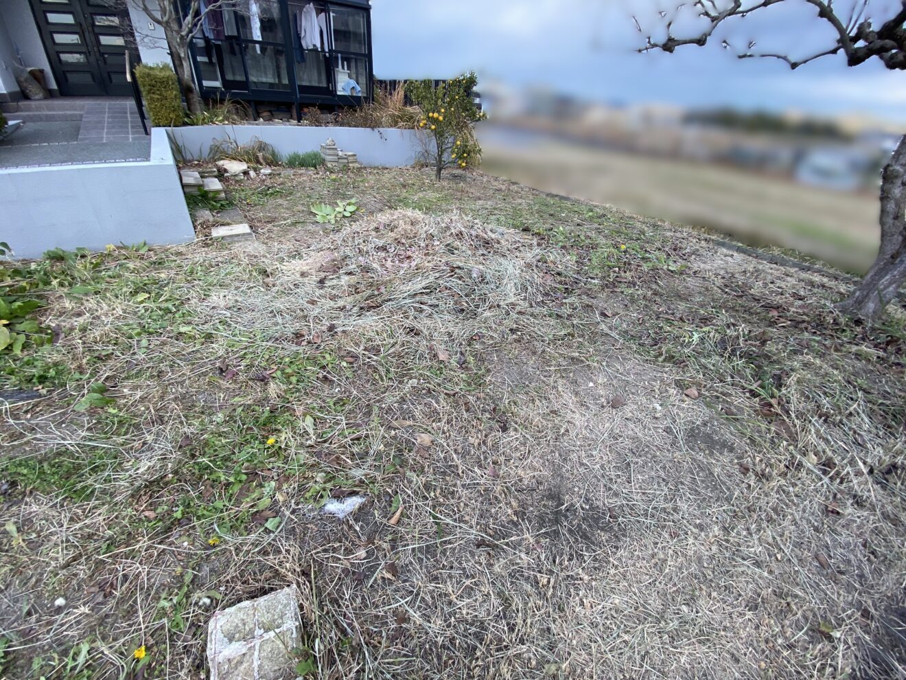 写真：リフォーム前の敷地内 - 福田造園の施工事例（愛知県豊田市）