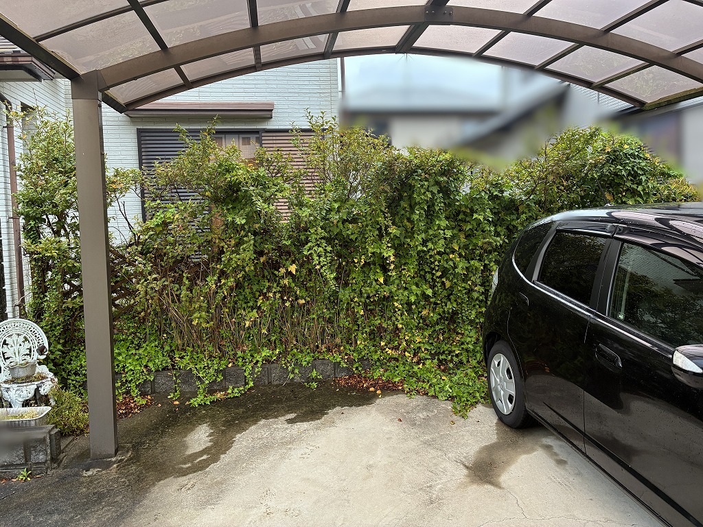 写真：リフォーム前の庭02 - 福田造園の施工事例（愛知県岡崎市）
