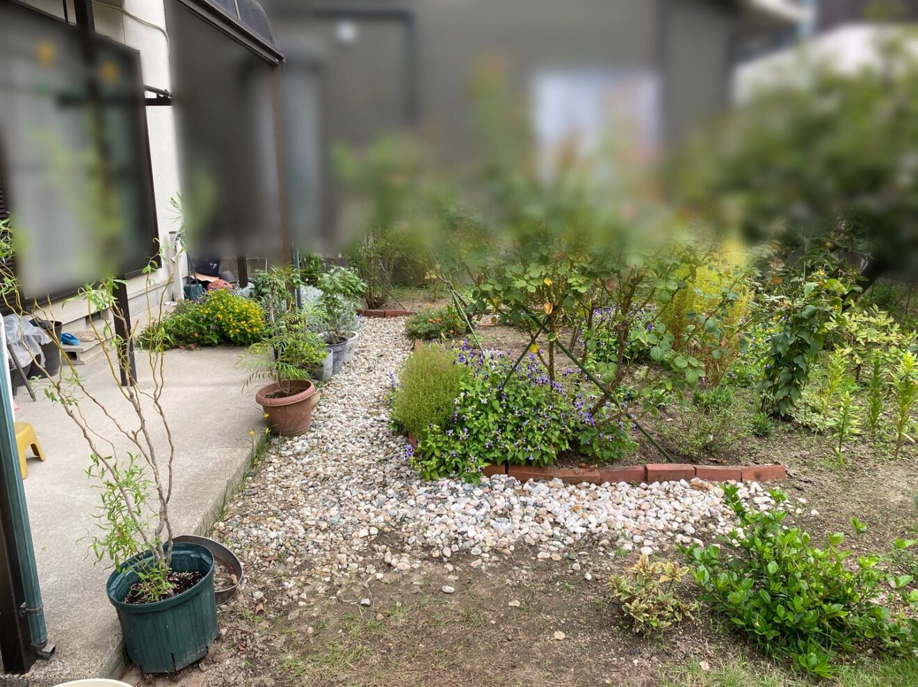 写真：リフォーム前の庭04 - 福田造園の施工事例（愛知県豊田市）