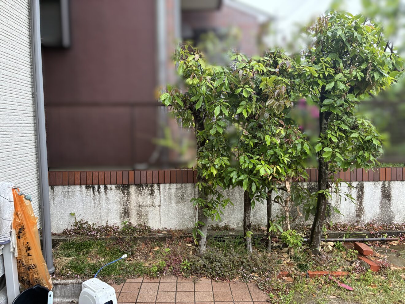 写真：庭リフォーム工事前の外観04- 福田造園の施工事例（愛知県瀬戸市）