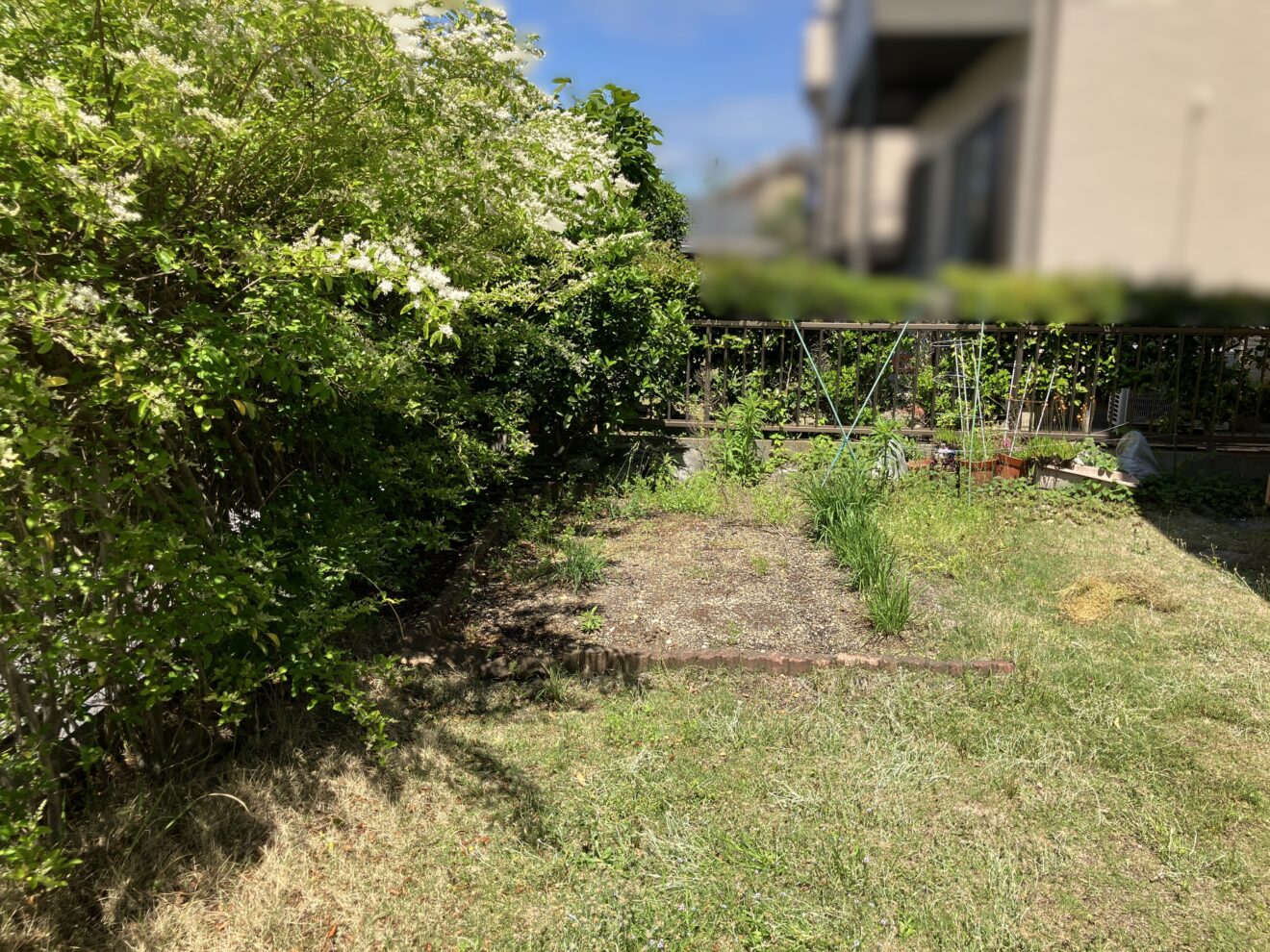 写真：庭リフォーム工事前の外観01- 福田造園の施工事例（愛知県名古屋市）